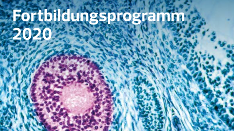 Fortbildung