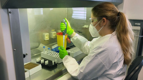 Coronavirus-Pilotstudie