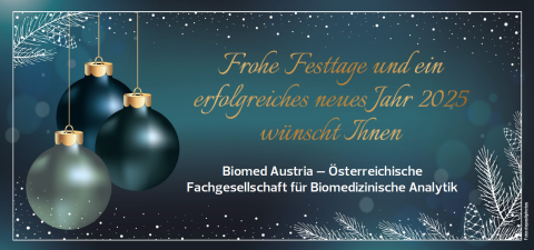 Weihnachtswünsche 2024